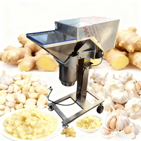 Máquina Trituradora de Ajo de 500-800 kg/h, Máquina para Triturar Papas, Jengibre, Picadora de Chile, Máquina para Hacer Pasta de Tomate, Picadora de Cebolla