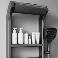 Ensemble de douche thermostatique de luxe pour spa - Acier inoxydable poli, mitigeur simple, pommeau de pluie en céramique, design moderne pour salle de bain d'hôtel
