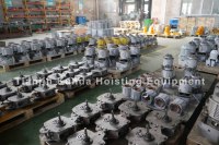 Palans électriques à chaîne Toyo fabriqués en Chine, 1 tonne, 2 tonnes, 3 tonnes, 5 tonnes, 6 tonnes avec télécommande sans fil