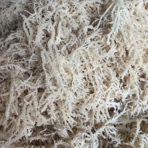Eucheuma cottonii สาหร่ายอบแห้งจากธรรมชาติสำหรับอาหารเพื่อสุขภาพเครื่องดื่มและผลิตภัณฑ์ดูแลผิว - Product Image 1