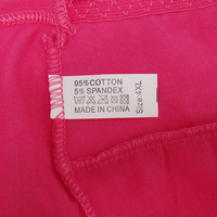 Penjualan pabrik 2XL, 3XL, 4XL celana dalam wanita ukuran besar katun renda pakaian dalam pinggang untuk wanita