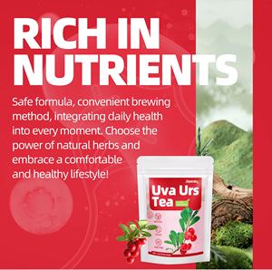 Sachets de tisane d'Uva Ursi prêts à l'emploi OEM ODM – Mélange naturel d'Uva Ursi et de pissenlit, végétalien, sans OGM pour le bien-être général - Product Image 4