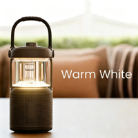 Enceinte sans fil d'extérieur Dynamic Light BT 5.3, 24h d'autonomie, IP67, étanche, pour le travail, l'atelier, le garage, les voyages, les sorties à la plage