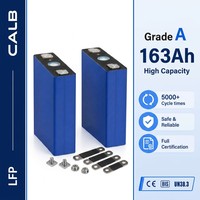Cellule de batterie CALB L173F163 163Ah LiFePO4 Grade A 5000cls pour rickshaw électrique en Inde, au Bangladesh et en Asie du Sud-Est