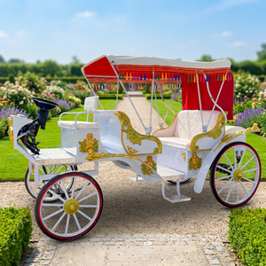 Véhicule électrique de tourisme idéal pour les parcs d'attractions, calèche à chevaux à vendre - Product Image 1