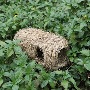 Tunnel en herbe tressé fait main pour hamster et chinchilla, résistant aux morsures, fournitures pour animaux de compagnie, taille moyenne - Product Image 2