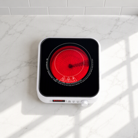 Cuisinière infrarouge électrique multifonction 2200W avec commande tactile et bouton rotatif, OEM/ODM, un brûleur, pour comptoir domestique, fabricant