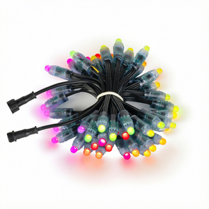 Éclairage LED RGBIC à <span class=keywords><strong>pixels</strong></span> individuels Ws2811 12V 12mm avec contrôleur SPI K1000C pour parcs d'attractions et éclairage paysager ponctuel - Product Image 1