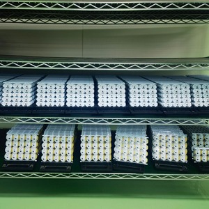 เซ็นเซอร์ประตูทูยา ซิกบี,รองรับหลายแพลตฟอร์ม eWeLink, ป้องกันการโจรกรรม W48 - Product Image 2