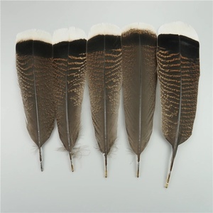 Lote de 10 Plumas de Águila Naturales para Manualidades, Accesorios para Tocados, Decoración Festiva, Plumas de Carnaval, Decoración DIY - Product Image 4
