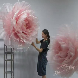 Peonías y Camelias Gigantes de Organza Transparente OEM, Ideales para Decoración de Ventanas de Bodas Los colores se pueden personalizar - Product Image 5