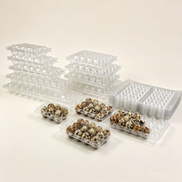 Boîte d'emballage jetable en plastique PET transparent pour œufs de caille, plateau en plastique transparent à 6, 8, 10, 12, 15, 18, 20, 24, 30 alvéoles pour œufs de caille géants