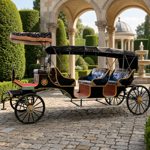 Voiture de tourisme à vendre, 6 places, 9 places, véhicule utilitaire, voiture électrique classique, vintage, directement de l'usine, certification CE, COC, DOT - Product Image 1