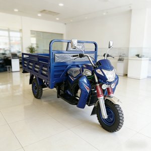 ELICK Fournisseur Direct d'Usine >250cc Tricycle Motorisé Ouvert avec Side-car, Moteur à Essence, Charge Utile 400kg, Vitesse 70km/h - Product Image 3