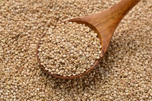 बिक्री के लिए निर्माताओं ने प्रत्यक्ष बिक्री के लिए किनोवा चावल बेहतर गुणवत्ता वाले त्रिकोणीय रंग क्विनोआ - Product Image 6