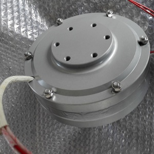 Generador de imanes sin núcleo de disco de rotor interno de baja velocidad R&X RX-PMG165-300 300W 500W 1000W 1000RPM 24V/48V 90% RX-PMG165-300 Bajo - Product Image 5