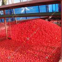 Machine d'extraction de graines de tomate équipement complet machine d'embouteillage de jus machine de fabrication de pâte de tomate