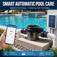 Générateur de chlore au sel pour piscine, à plaques de titane avec revêtement Ru Ir, à chambre électrolytique transparente robuste, direct usine