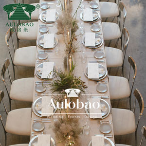 Modern Design Stainless Steel Wedding <b>Chairs</b> for Bride and Groom <b>Chair</b> - Product Image 4