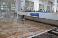 Ligne de production de panneaux muraux décoratifs en PVC UV automatique BOGDA pour la fabrication de feuilles de marbre