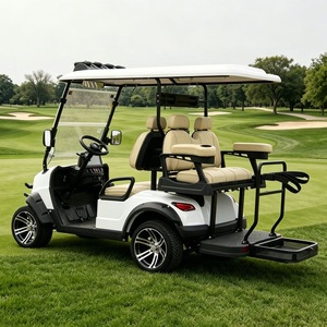 Carrito de Golf Práctico con Cámara de Reversa EPS, Apto para Campos de Golf y Recepción de Hoteles - Product Image 5