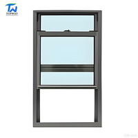 Ventana Corredera Vertical de Aluminio TW TW002 Moderna de Reemplazo, de Doble o Simple Hoja, para Exterior