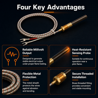 Générateur thermopile à gaz en cuivre 750mV, capteur de flamme pilote pour pièces de chauffage d'appareils électroménagers, certifié CE, pour réparation de cheminées et de fours