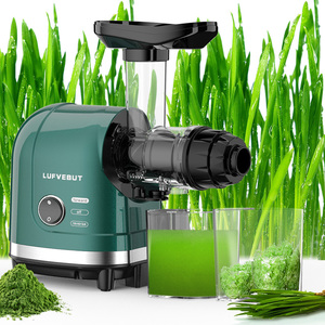 เครื่องคั้นน้ำผลไม้แบบช้า BP-8038 สำหรับใช้ในเชิงพาณิชย์ คั้นส้ม คั้นวีทกราส - Product Image 1