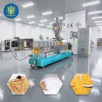 Machines d'Extrusion de Riz Artificiel de Haute Qualité, Lignes de Production de Riz Instantané Fortifié et Nutritionnel, Vente Chaude