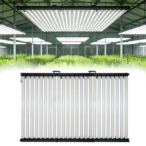 Lámparas <span class=keywords><strong>LED</strong></span> de <span class=keywords><strong>Cultivo</strong></span> LUXINT <span class=keywords><strong>para</strong></span> Interiores, 4x6 pies, 1200W/1500W, con Chips Samsung LM301H, Cuerpo de Aluminio, <span class=keywords><strong>para</strong></span> <span class=keywords><strong>Cultivo</strong></span> Comercial de Plantas en Carpas de <span class=keywords><strong>Cultivo</strong></span> de 4x8 pies - Product Image 1