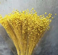 Pabrik Yunnan Grosir Bunga Jequirity Kering, Bunga Jequirity Awet, Dekorasi Bunga Pernikahan, Florist, Eceran, Rumah