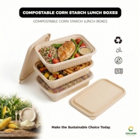 Boîte à hamburger personnalisée en amidon de maïs de qualité supérieure, conteneur à emporter biodégradable, anti-fuite et compatible micro-ondes avec couvercle