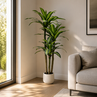 Meilleures ventes transfrontalières : Arbre artificiel 'Sang de Dragon' en tissu sérigraphié, feuillage riche, ornement décoratif d'intérieur 100-200cm