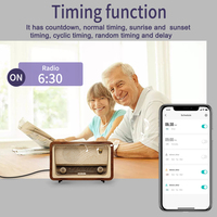 SIXWGH Compteur d'énergie bidirectionnel intelligent avec prise WiFi 16A EU, contrôle à distance, compatible Alexa et VeSync pour chargeur