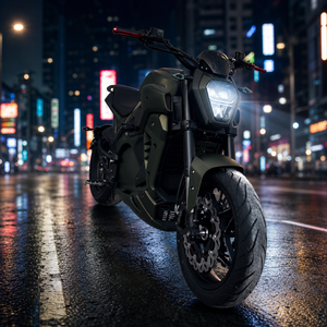 Bicicleta Eléctrica Retro TDR51Z de Estilo Personalizado, 3000W, 72V, Color Negro Mate, Autonomía de 100km, para Desplazamientos Urbanos y Paseos de Ocio, Diseño Militar Distintivo - Product Image 6