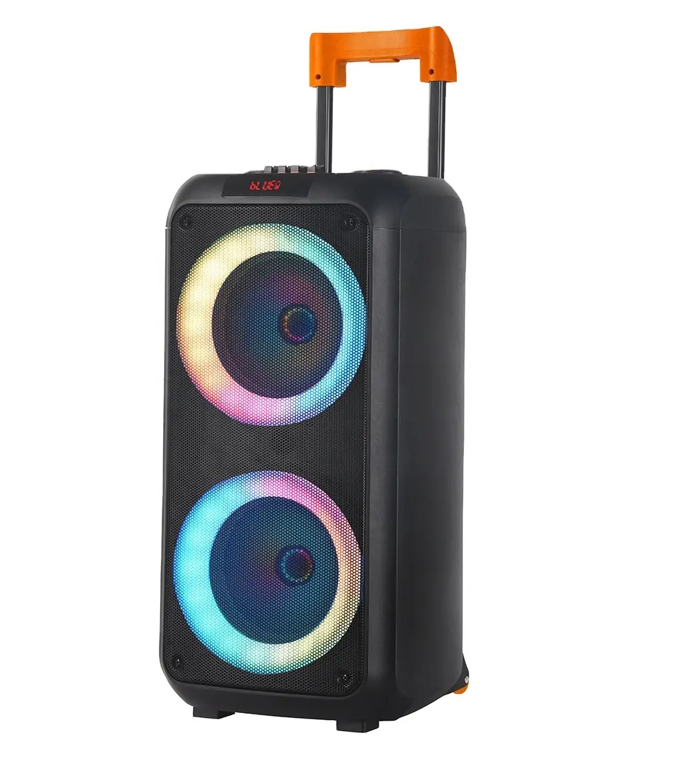 NDR1096 big speakers outdoor dj party colorful led light box sound double 8 inch rechargeable trolley speaker with microphone