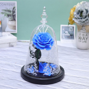 Cadeaux de <span class=keywords><strong>la</strong></span> fête des mères, cadeaux de remise de diplôme, <span class=keywords><strong>La</strong></span> <span class=keywords><strong>Belle</strong></span> <span class=keywords><strong>et</strong></span> <span class=keywords><strong>la</strong></span> Bête, <span class=keywords><strong>rose</strong></span> enchantée, fleurs réelles préservées au toucher réel dans un dôme en verre - Product Image 4