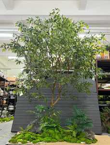 Arbre artificiel <span class=keywords><strong>Pieris</strong></span> <span class=keywords><strong>Japonica</strong></span>, arbre d'intérieur, faux arbuste vert en pot, sans arrosage, pour salon, villa, café, décoration intérieure - Product Image 6