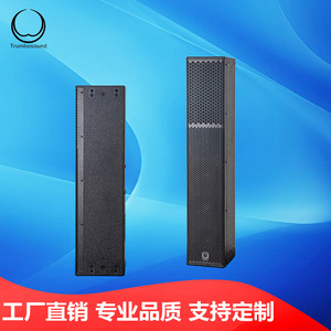 Colonne de sonorisation active Trumbosound L55 200W 2.0 canaux, système audio stéréo multifonctionnel pour salle de conférence - Product Image 5