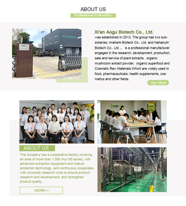 Estratto di ciliegia Acerola estratto di ciliegia di Acerola biologico in polvere di vitamina C 17% 25% - Product Image 5