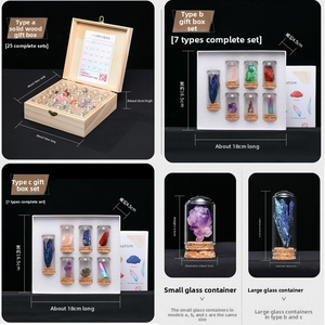 Caja de Muestras de Piedras Naturales en Bruto, Jade, Ágata, Roca, Set de Regalo Educativo para Niños sobre Ciencia y Popularización Científica - Product Image 5