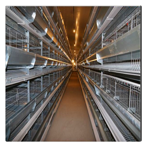 Gallinero Automático para Granja Avícola, Gallinero de Cría Libre, Nido para Gallinas Ponedoras, Comedero Automático para Pollos con Luz - Product Image 5