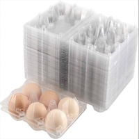 Fourniture d'usine de 6 trous jetables transparents en plastique transparent plateau d'emballage sous blister d'oeufs de poulet plateau d'oeufs de poulet