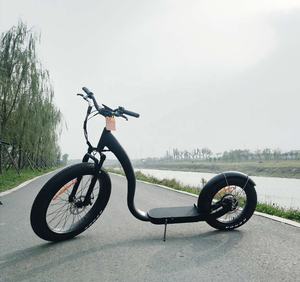 <span class=keywords><strong>2023</strong></span> precio sorpresa bicicleta eléctrica de patada 48V bicicleta de montaña eléctrica 750W 14ah neumático grueso playa crucero <span class=keywords><strong>e</strong></span> bicicleta scooter para adultos - Product Image 6