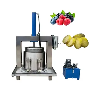 Exprimidor hidráulico industrial de prensa en frío, máquina extractora de jugo de verduras, máquina de prensa hidráulica de vino de uva