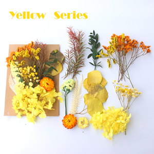 <span class=keywords><strong>Kit</strong></span> de fleurs séchées naturelles pressées, mélange de feuilles d'eucalyptus pour la création de bijoux en résine, le nail art, la fabrication de bougies, la décoration bohème de la maison - Product Image 5