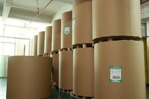 BPA Free nhiệt giấy Jumbo CuộN các nhà sản xuất tại Trung Quốc 48gsm / 55gsm / 60gsm - Product Image 6