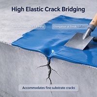 Anti-fuite pour intérieur/extérieur, mastic durable pour béton/métal, revêtement imperméable écologique pour toiture, mur, piscine