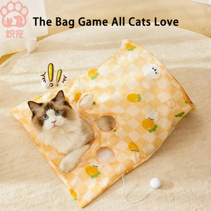 Di alta qualità eco-friendly vendita calda gatto giocattolo carino Self-Play piega Tunnel di carta gatto giocattolo, masticare-resistente palle di peluche Set per gatti - Product Image 2