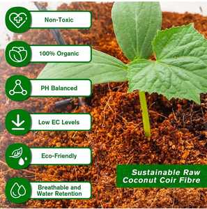 Disco de Fibra de Coco Natural - Biodegradable y Ecológico para Germinación de Semillas, Jardinería, Agricultura y Cultivo de Plantas - Product Image 2